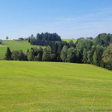 Apartmán Anna Altreichenau Neureichenau Exteriér fotografie